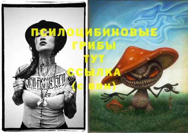 ALPHA-PVP Гусь-Хрустальный
