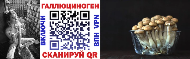 Псилоцибиновые грибы Cubensis  Звенигород 