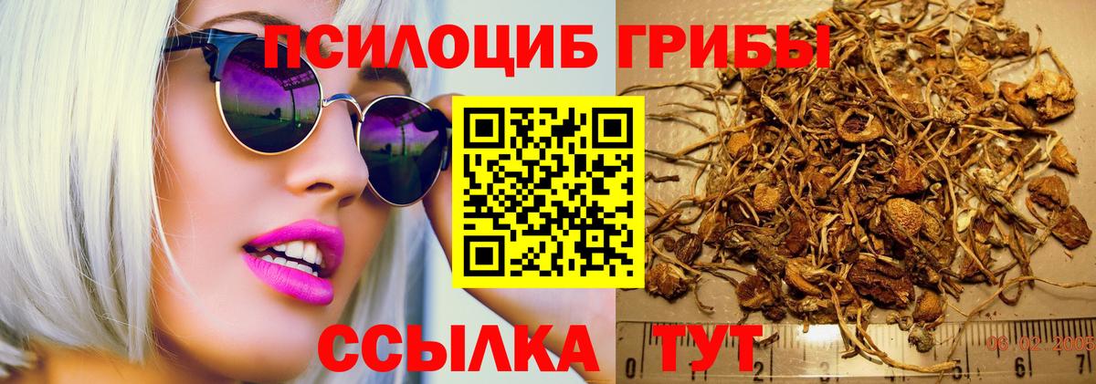 Галлюциногенные грибы прущие грибы  где можно купить   Звенигород  Вход с VPN  Псилоцибиновые грибы ЛСД 